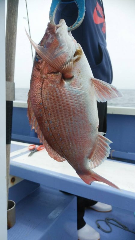 新幸丸 釣果