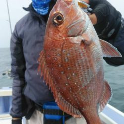 新幸丸 釣果