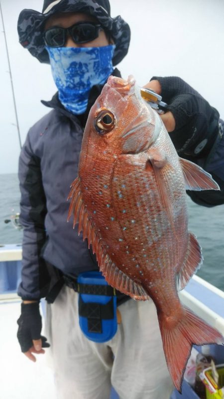 新幸丸 釣果