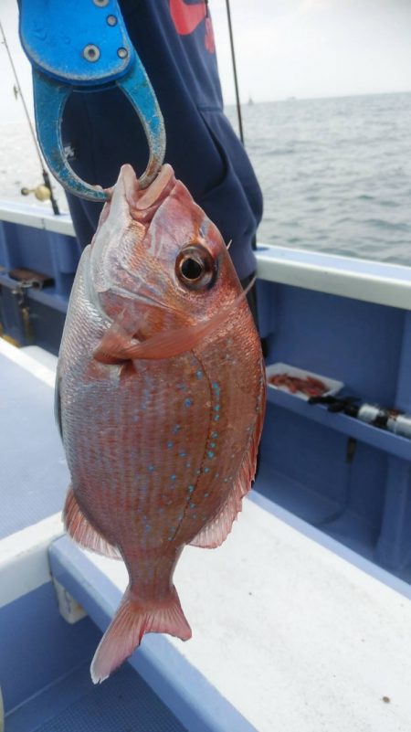 新幸丸 釣果