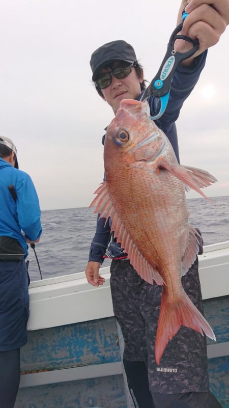 だて丸 釣果