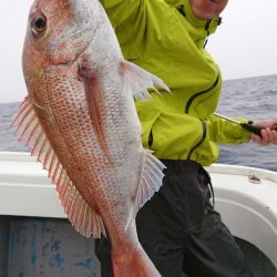 だて丸 釣果