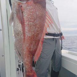 だて丸 釣果