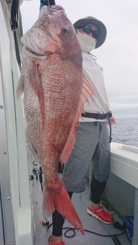 だて丸 釣果