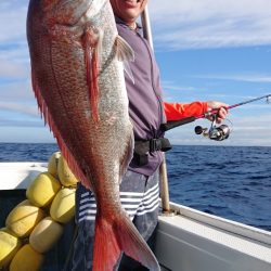 だて丸 釣果