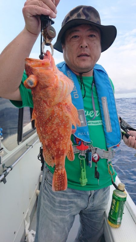 だて丸 釣果