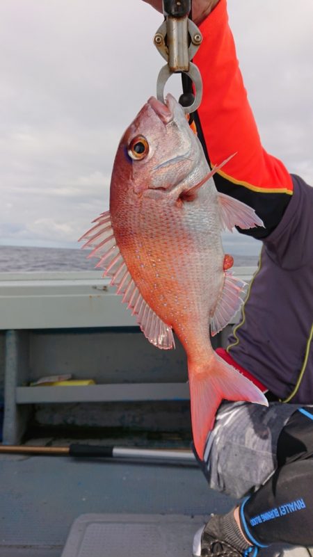 だて丸 釣果