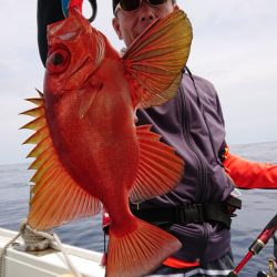 だて丸 釣果