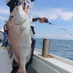 だて丸 釣果