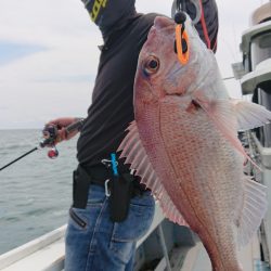 だて丸 釣果