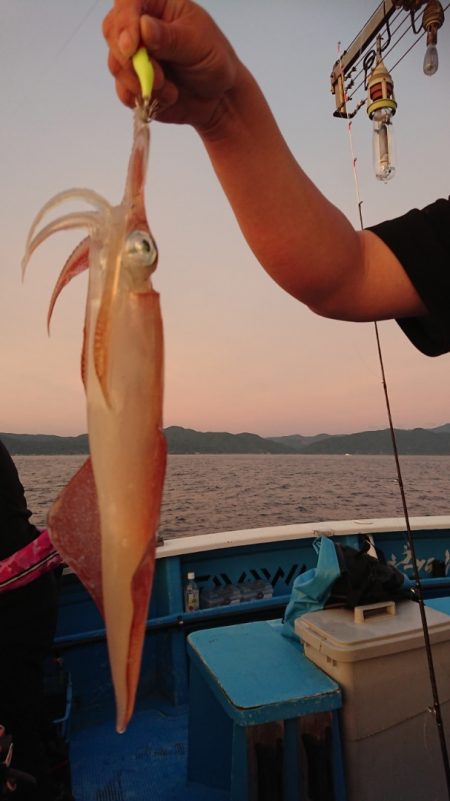 竹宝丸 釣果