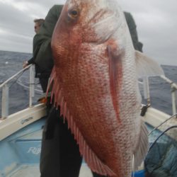 秀漁丸 釣果