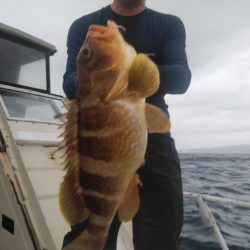 秀漁丸 釣果