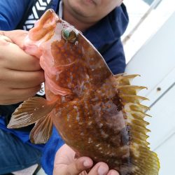 小島丸 釣果