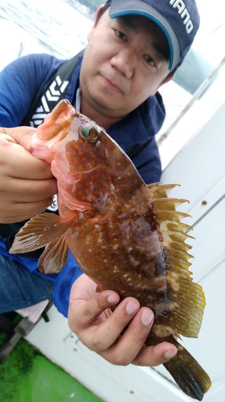 小島丸 釣果