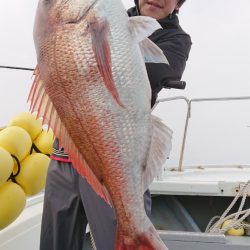 だて丸 釣果