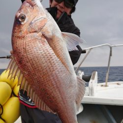 だて丸 釣果