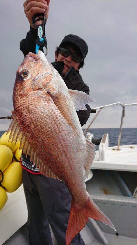 だて丸 釣果