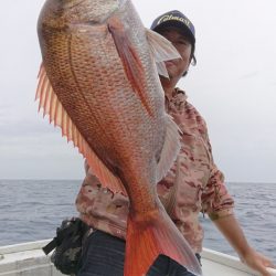 だて丸 釣果