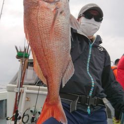 だて丸 釣果