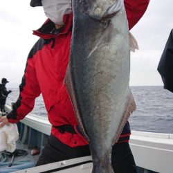 だて丸 釣果