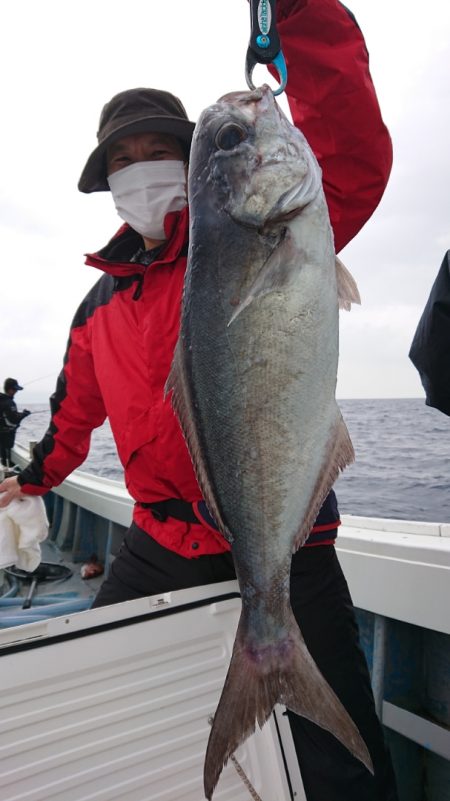 だて丸 釣果