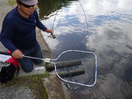 平谷湖フィッシングスポット 釣果