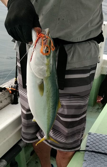 小島丸 釣果