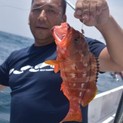 渡船屋たにぐち 釣果