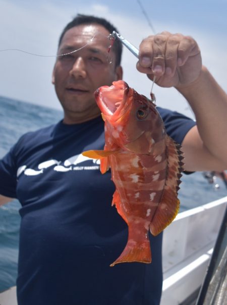 渡船屋たにぐち 釣果