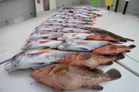 KIM Fishing Guide Service 釣果