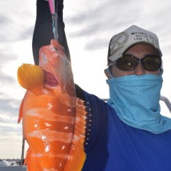 渡船屋たにぐち 釣果