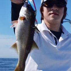 渡船屋たにぐち 釣果