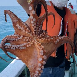 ヤザワ渡船 釣果