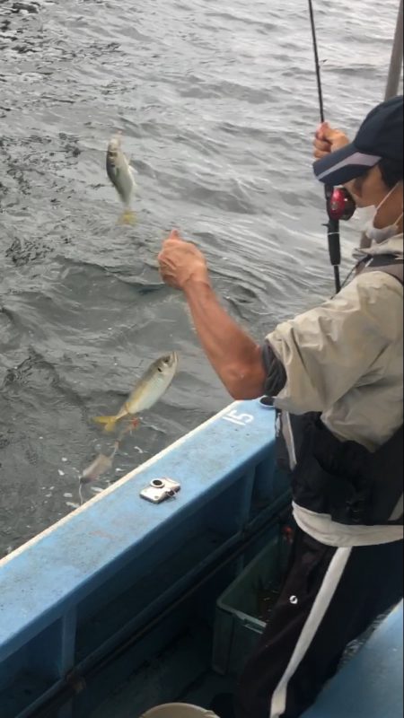 ヤザワ渡船 釣果