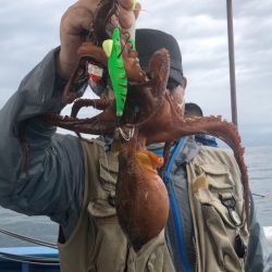 ヤザワ渡船 釣果