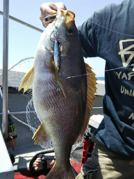 光生丸 釣果