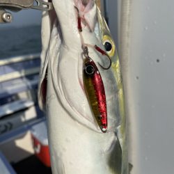 新幸丸 釣果