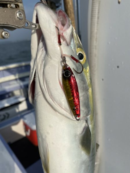 新幸丸 釣果