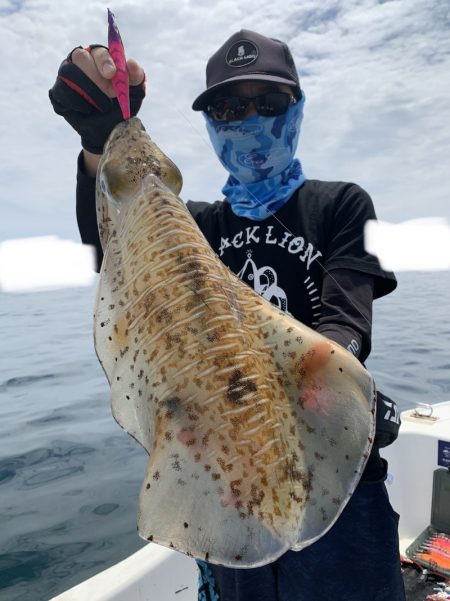 きずなまりん 釣果