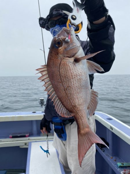 新幸丸 釣果