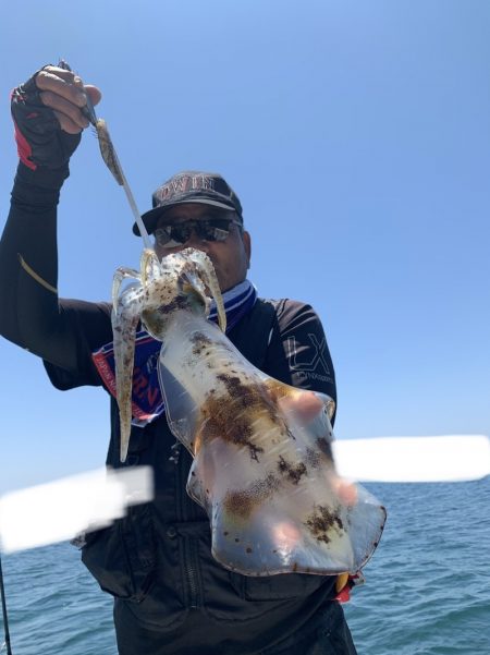 きずなまりん 釣果