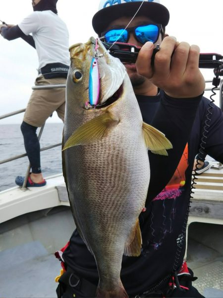 光生丸 釣果