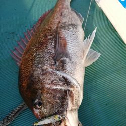 鷹王丸 釣果