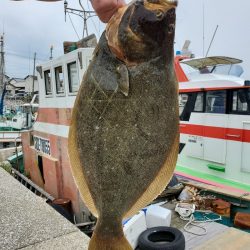 富士丸 釣果