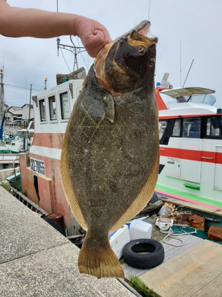 富士丸 釣果