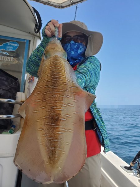 ソルトウォーターガイドフレンズ 釣果