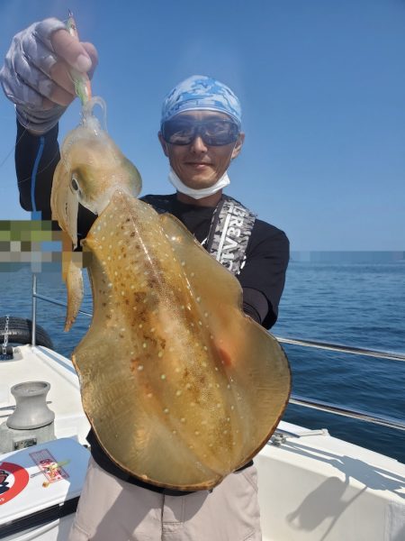 ソルトウォーターガイドフレンズ 釣果