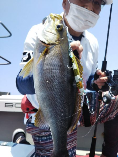 光生丸 釣果