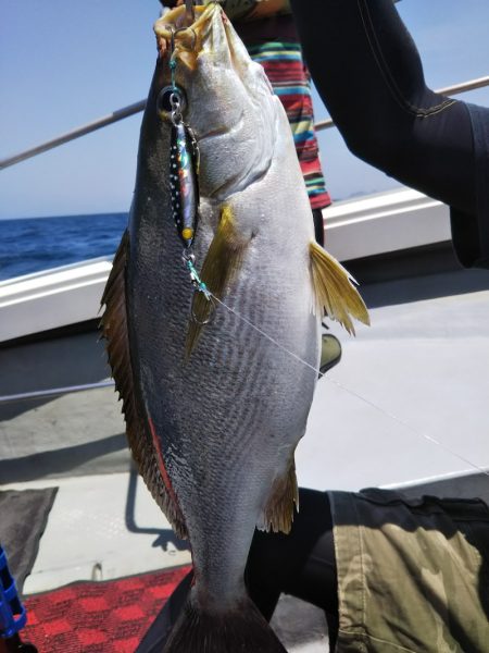 光生丸 釣果